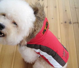 美琪妃寵Feipet 2012秋冬寵物服裝新品解析 價格、廠家與大白寵物風尚